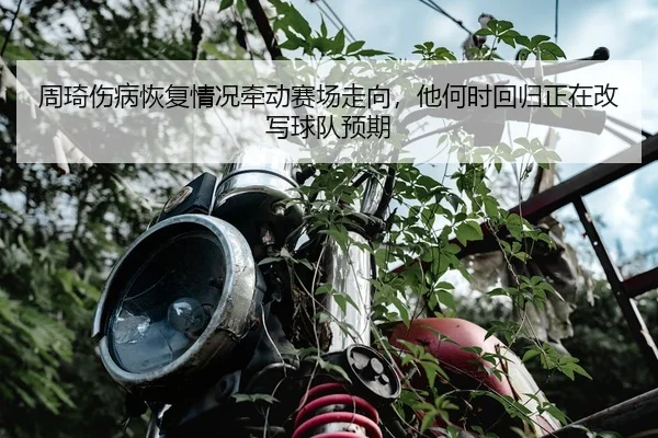 zhou-qi-shang-bing-hui-fu-qing-kuang-qian-dong-sai-chang-zou-xiang-ta-he-shi-hui-gui-zheng-zai-gai-xie-qiu-dui-yu-qi-2-951.jpg